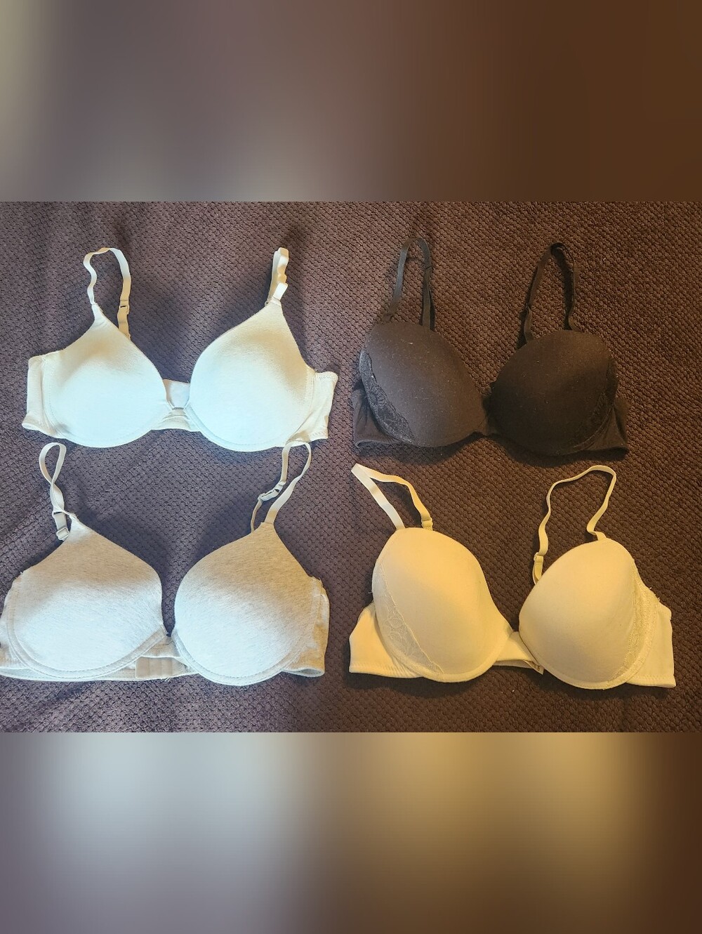 T-Shirt Cotton Push Up Bras - Black, Ivory, Light Grey, Light Blue